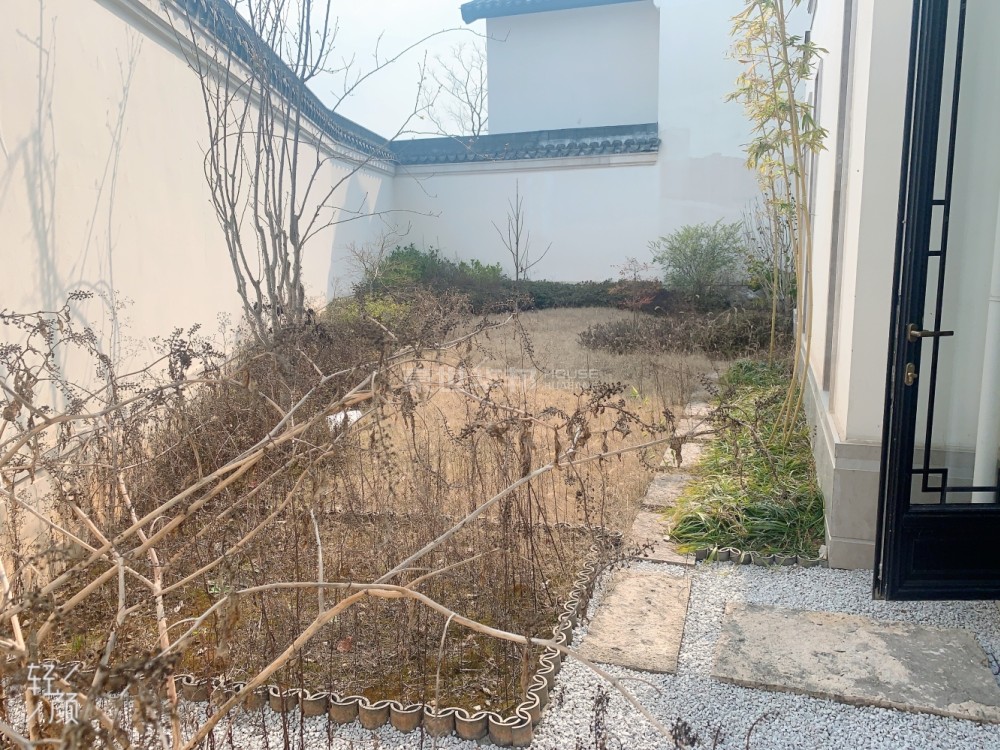 院子