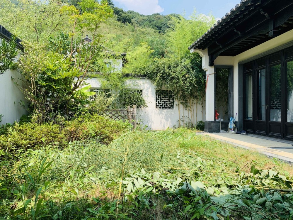 院子