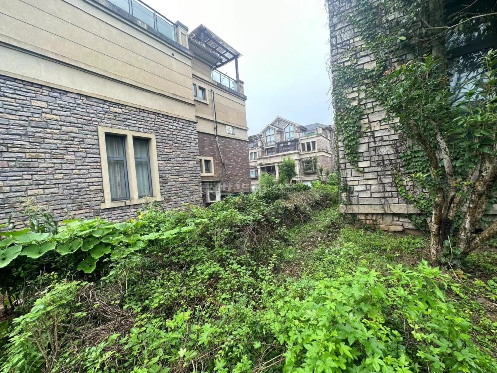 院子